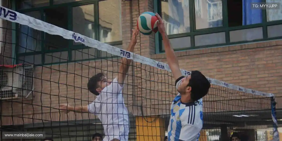 高清网络游戏中心：专业品质覆盖顶级，互动升级更精彩